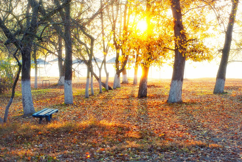 Photograph by Юрий Кружнов