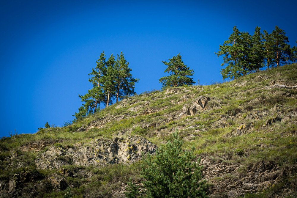 Photograph by Елена Пичуева