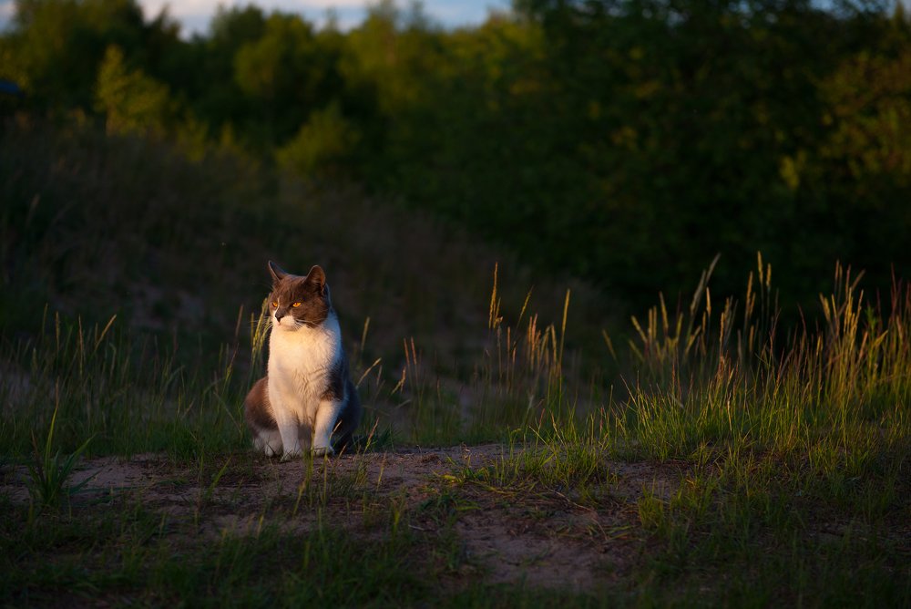 Photograph by Дворянинова Екатерина
