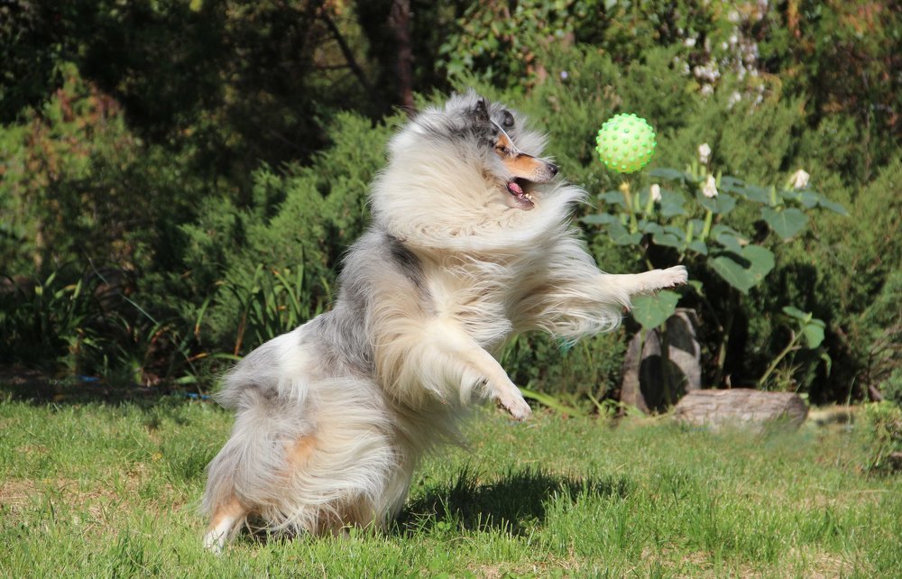 Photograph by Ирина Мамичева