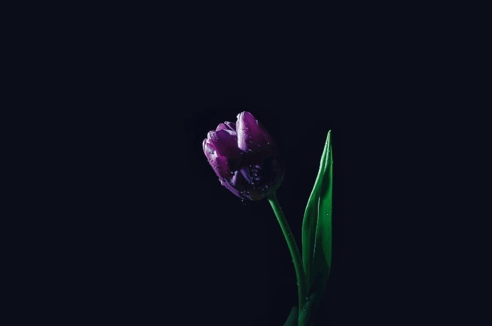 На пути к свету