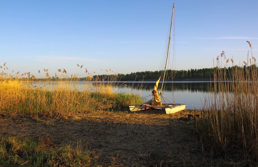 Шепчет тихо тростник.