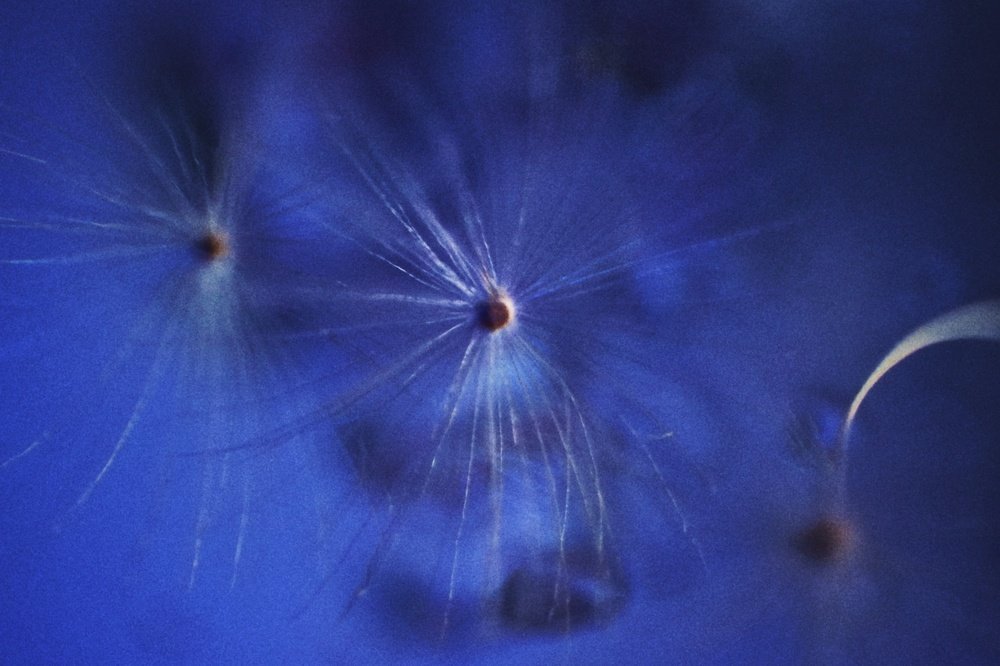 Парашютики