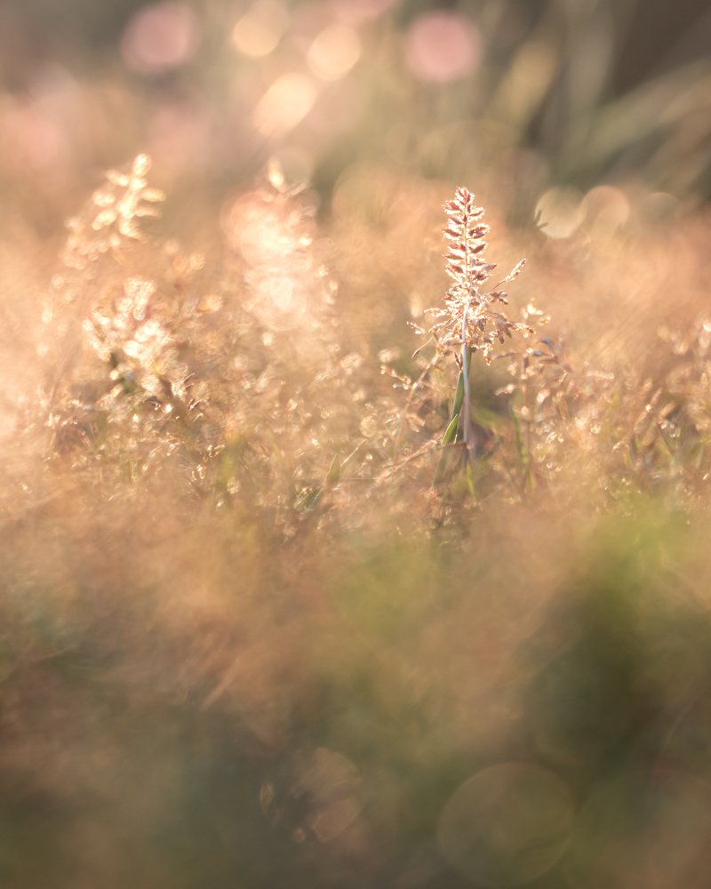 Photograph by Milutin Savkovic