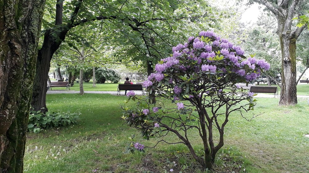 Photograph by Marius-Angel Gheorghe