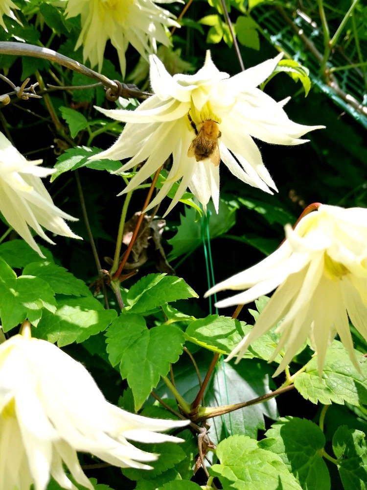 Photograph by Ольга Шинкевич