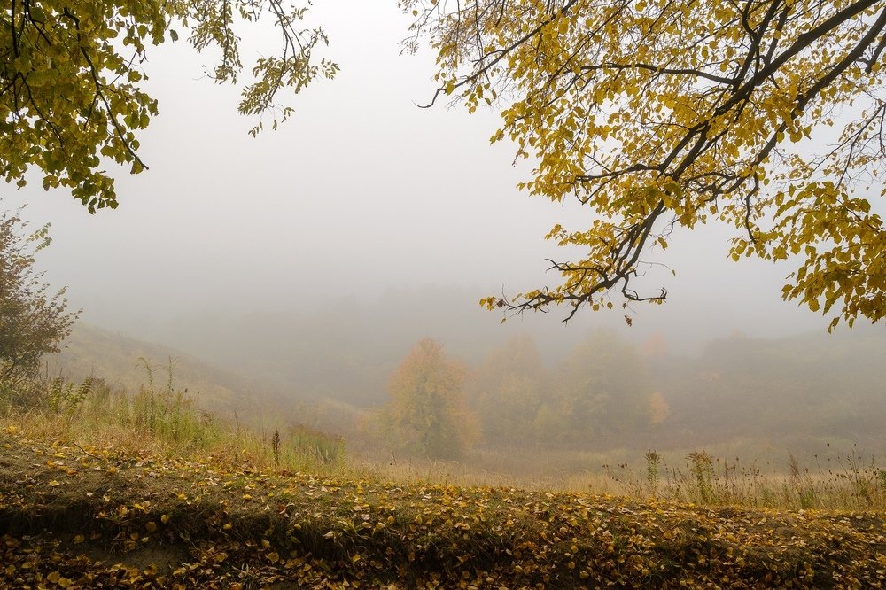 Photograph by Павел Ступак