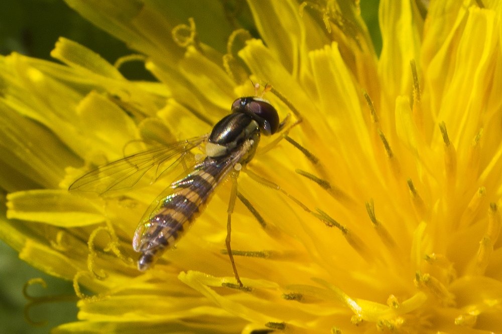 Photograph by Владимир