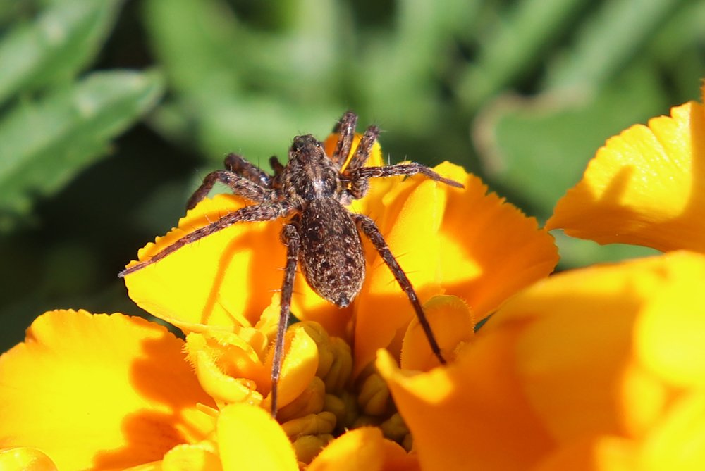 Photograph by Владимир