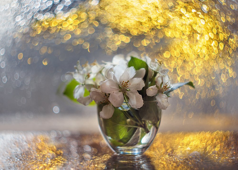 Photograph by Наталья Кабачек