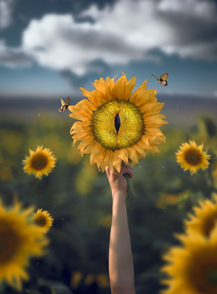 Photograph by reus Rawa reus