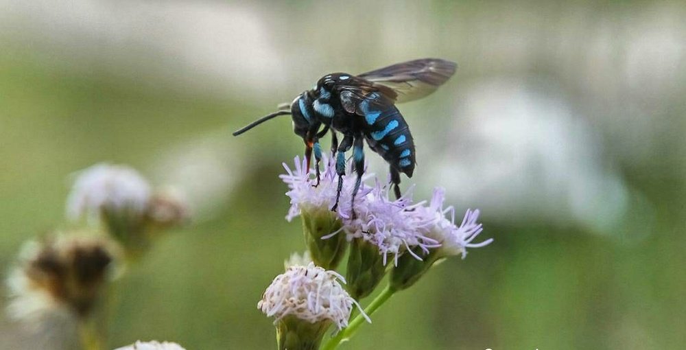 Photograph by Eko Zacky Putra