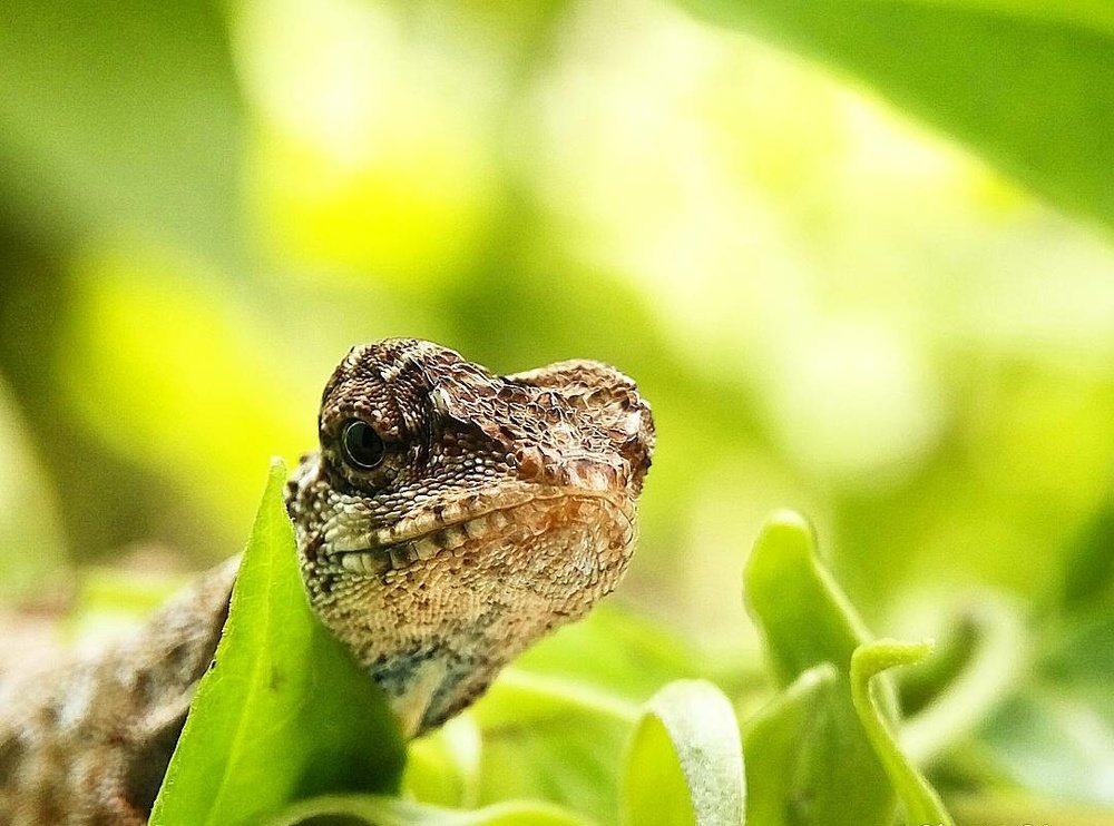 Photograph by Eko Zacky Putra