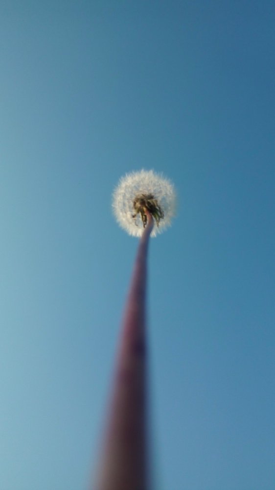 Photograph by Олеся Петрова