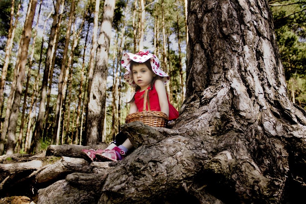 Photograph by Светлана Ермашкевич