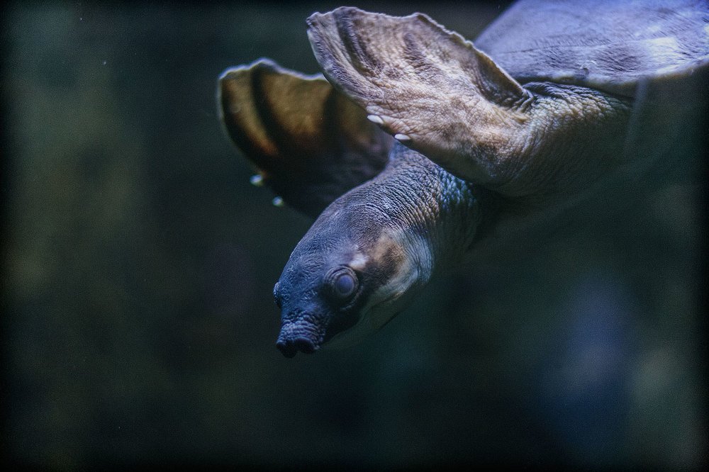 Photograph by Игорь Майоров