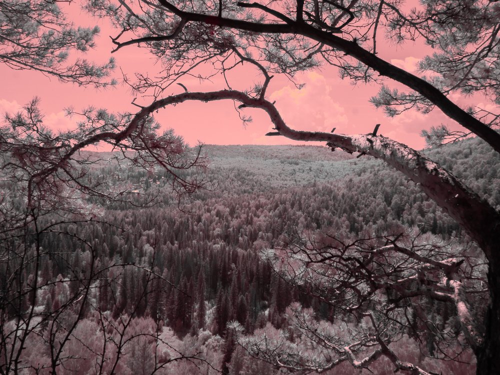 Над тайгой. Ик -фото