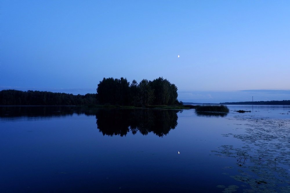 Зеркало природы