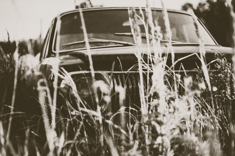 Photograph by Alexander Pozdnyakov
