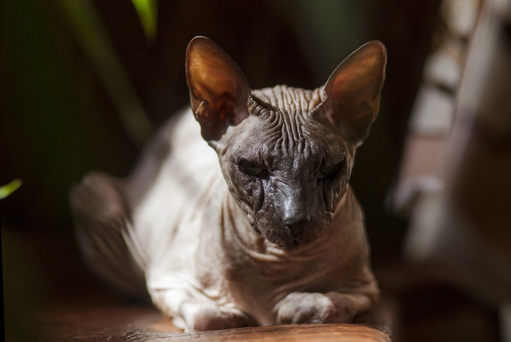 Photograph by Роман Мацнев