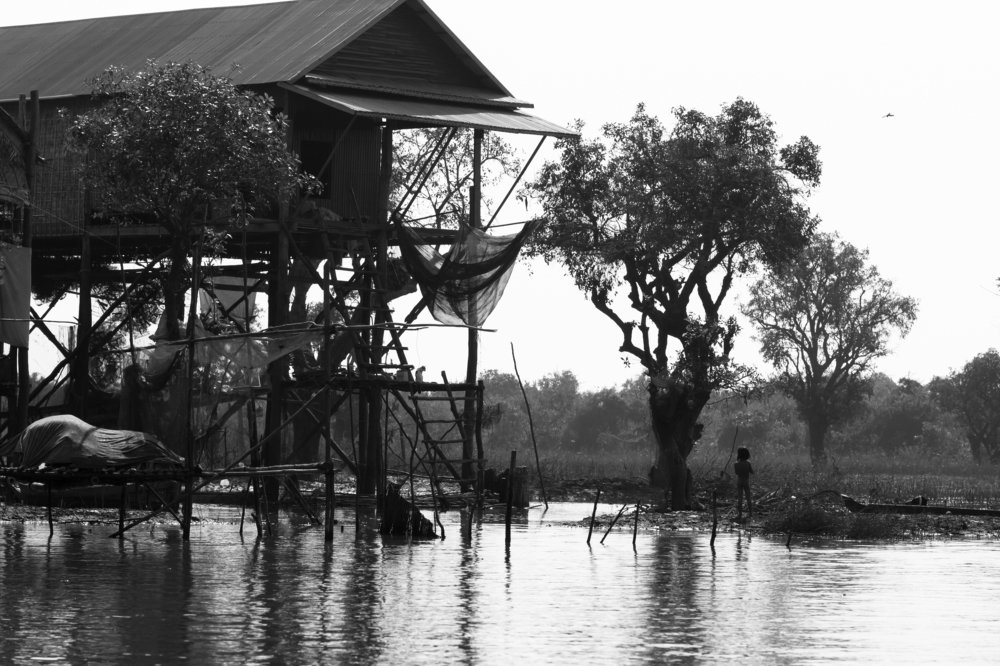 Photograph by Faletkin Mikhail