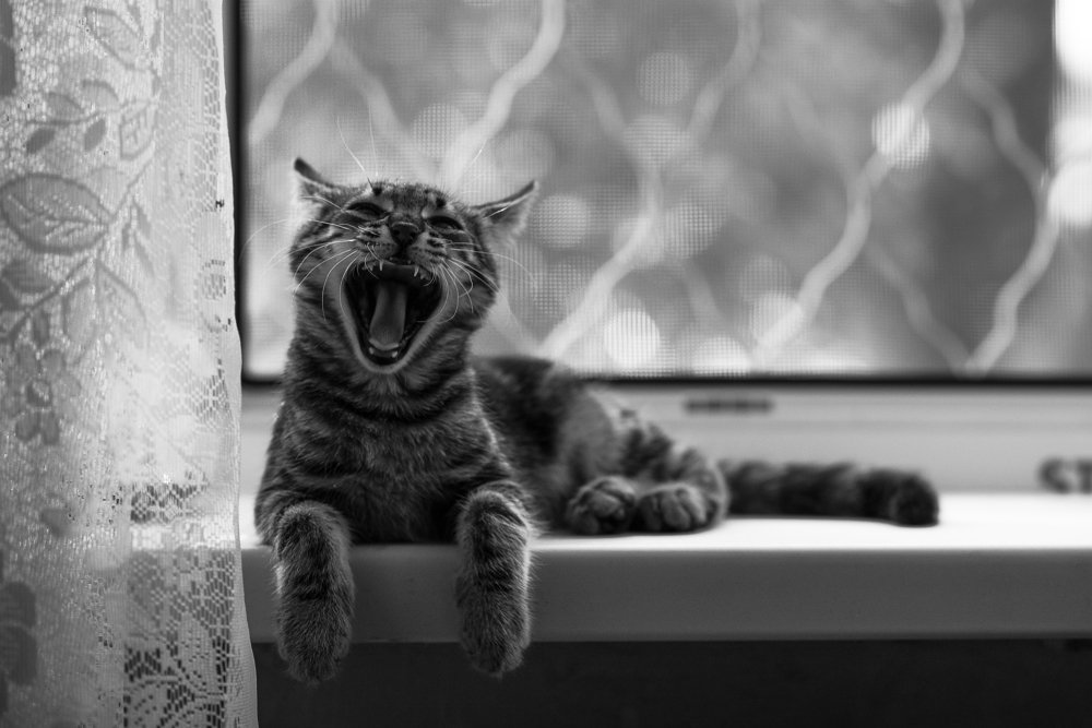 Photograph by Анна Дегтярёва