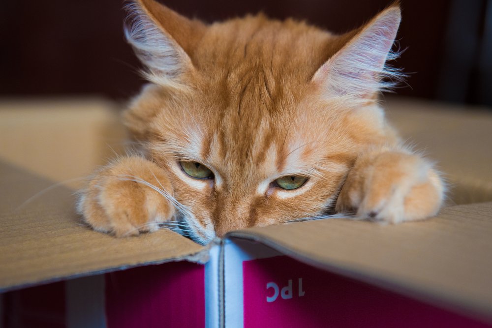 Photograph by Анна Дегтярёва