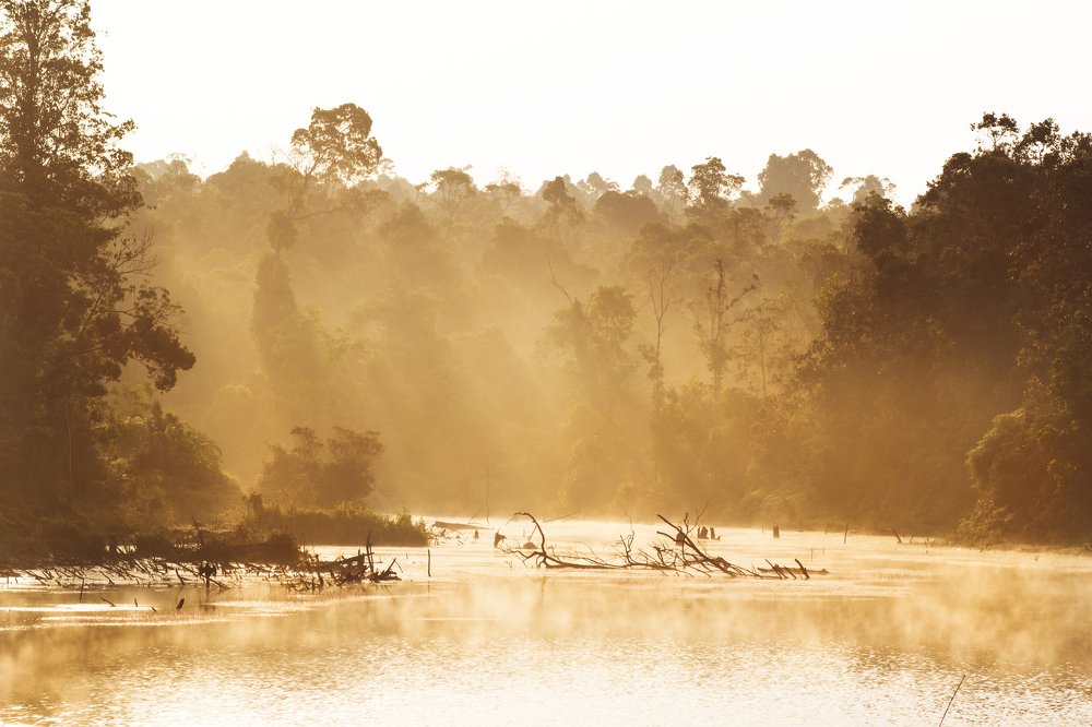 Photograph by Faletkin Mikhail