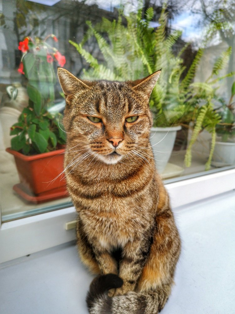 Photograph by Валерий