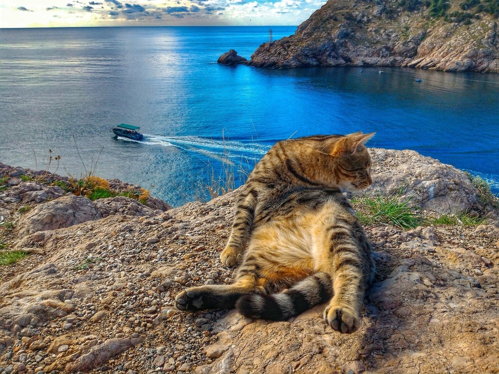 Photograph by Валерий