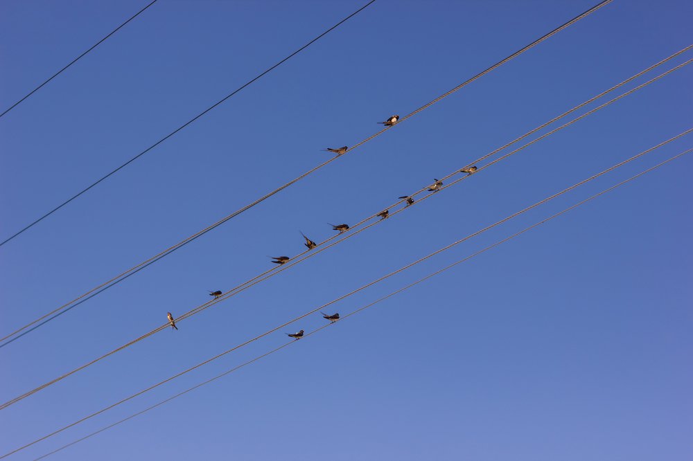 Photograph by Анна Еремина