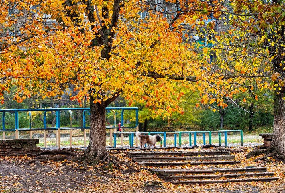 Photograph by Юрий Кружнов