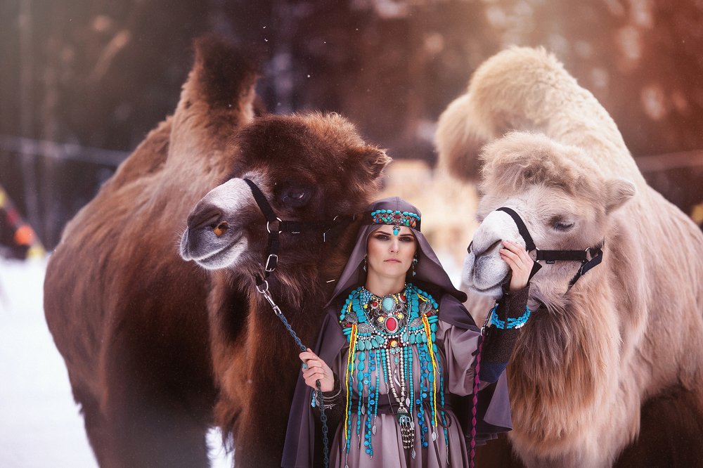 Photograph by Алёна Моган