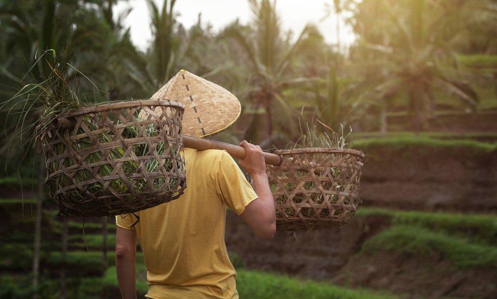 Photograph by Olga Shulzhitskaya