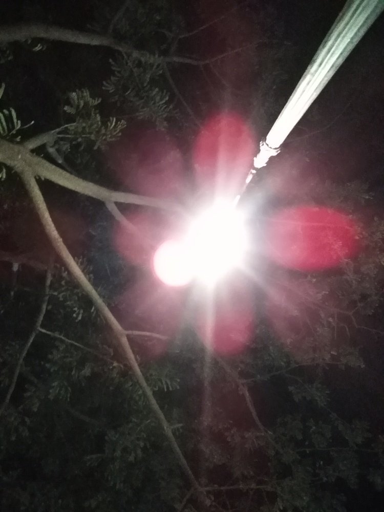 Photograph by Rubina Hasan