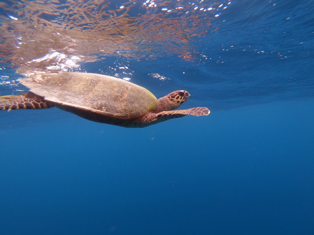 Photograph by Olga Shulzhitskaya