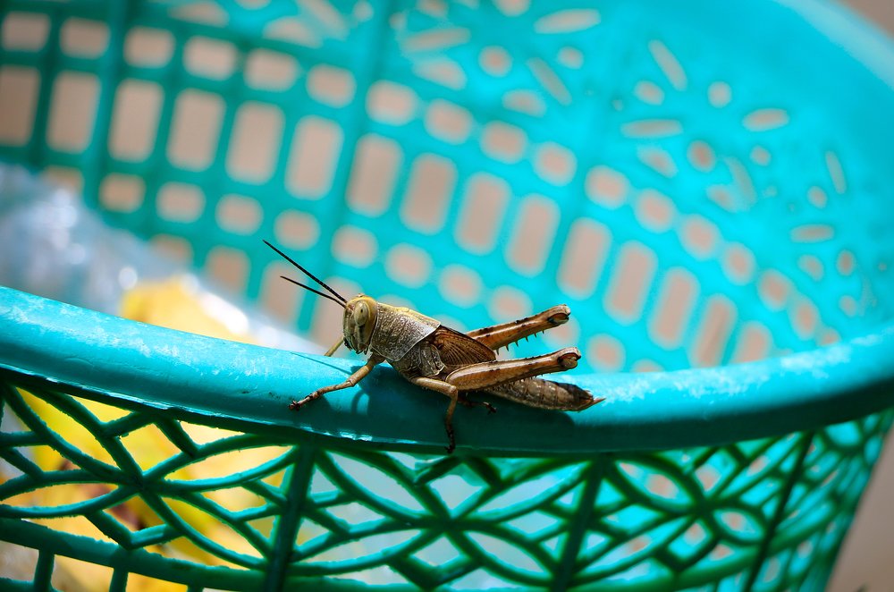 Photograph by Алина Малюжиц