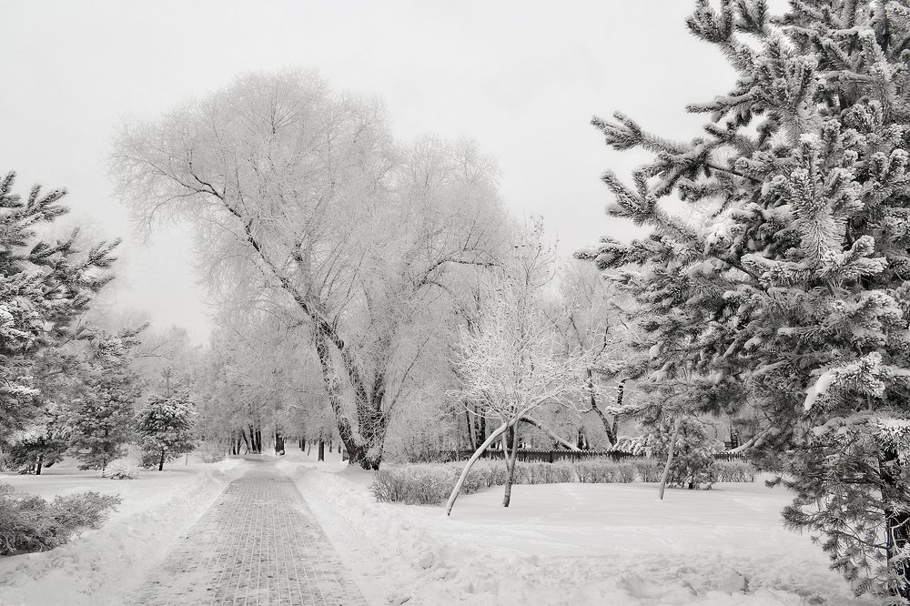 "Снег, красок на свете нет.."
