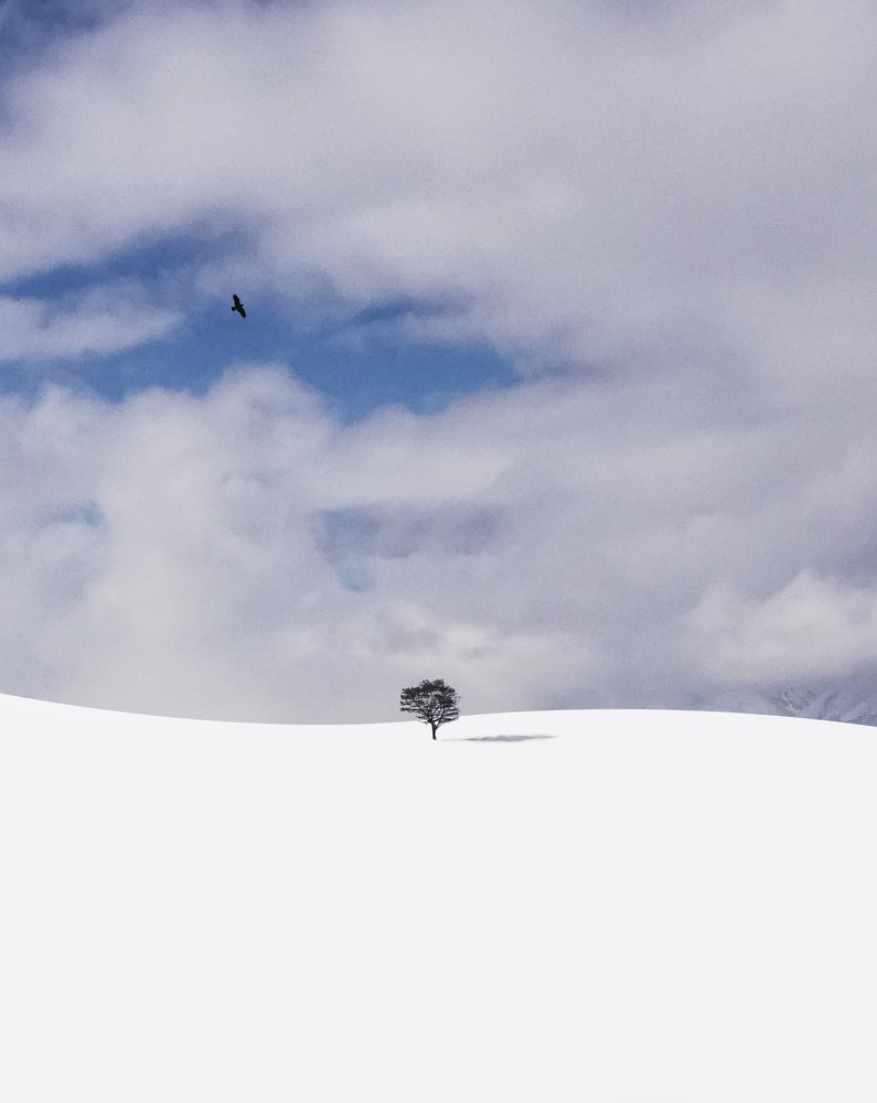 Photograph by Amyar