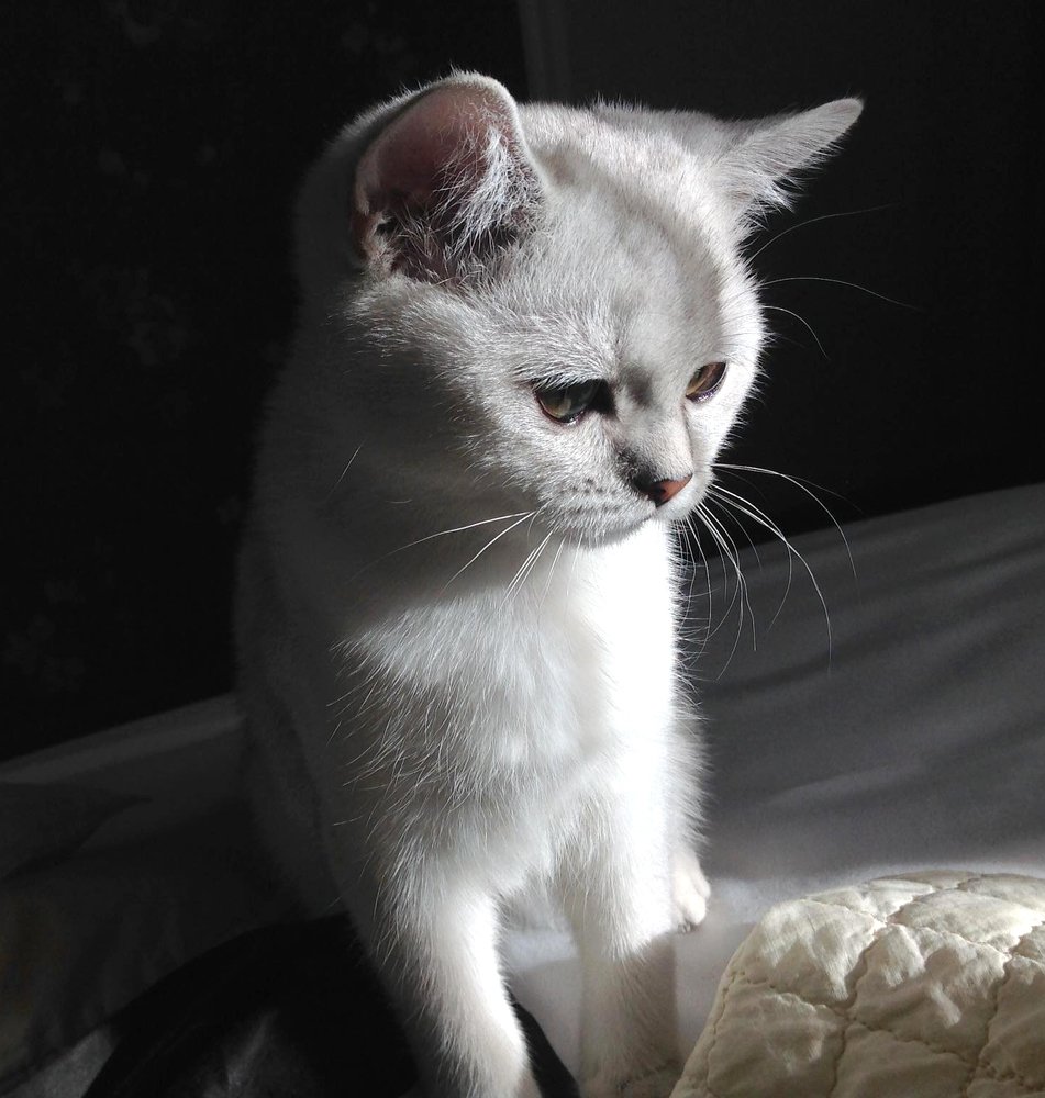 Photograph by Татьяна Коновалова