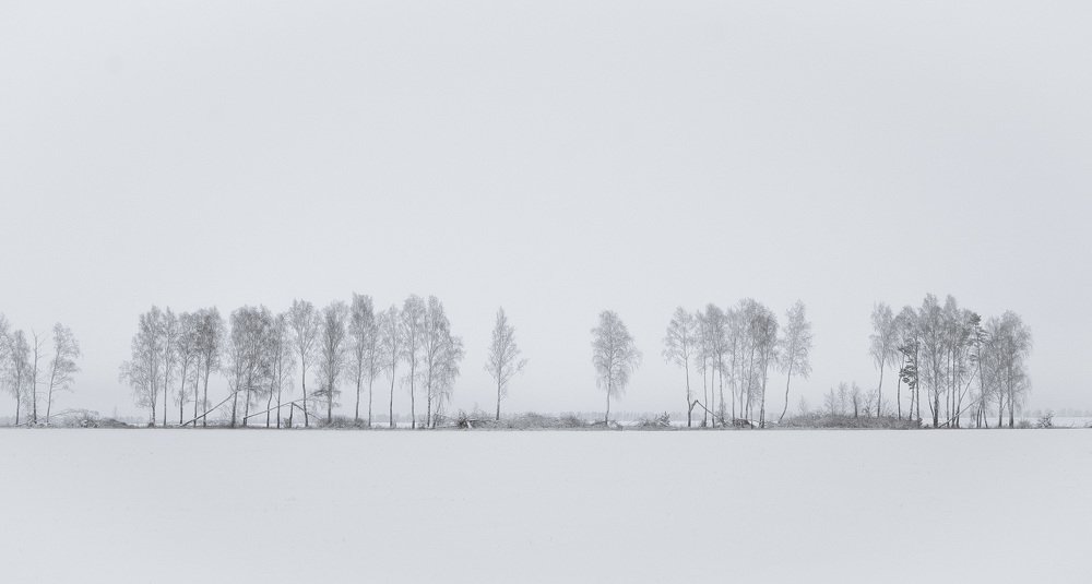 Photograph by Алексей Ващук