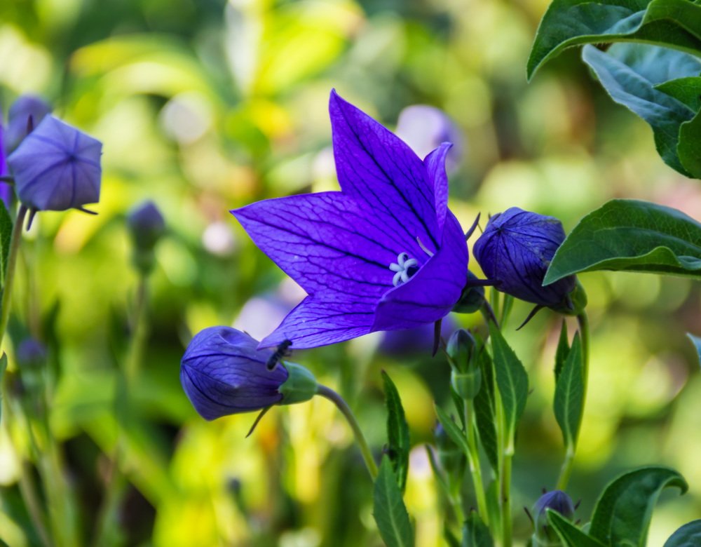 Photograph by Victor Pruhnitskiiy