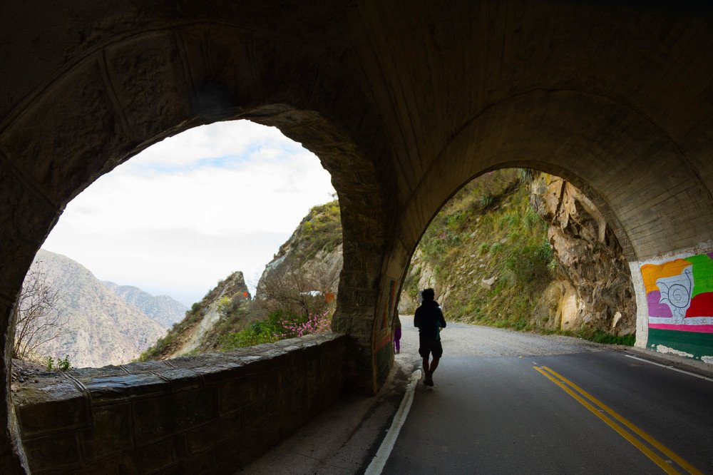 Photograph by Patricia