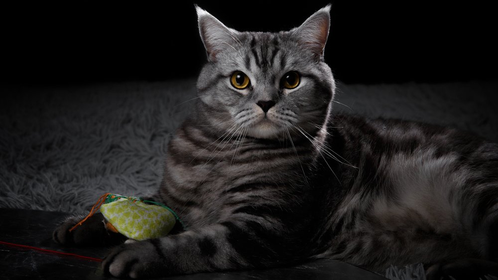 Photograph by Ильяс Бекмансуров