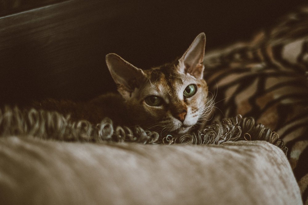 Photograph by Сергей