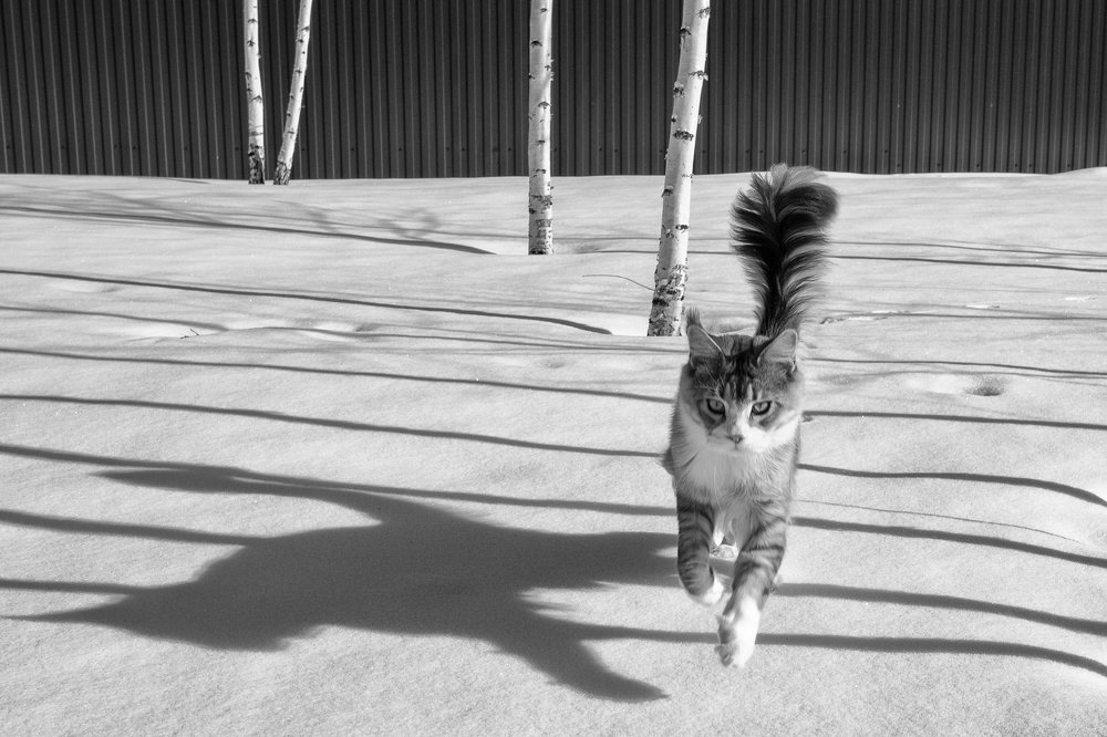 Фотография автора Оксана Ведмеденко