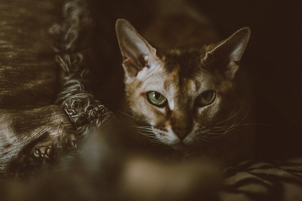 Photograph by Сергей