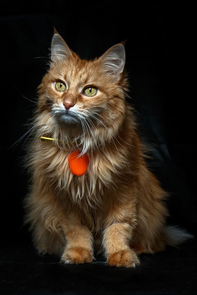 Photograph by Йомка