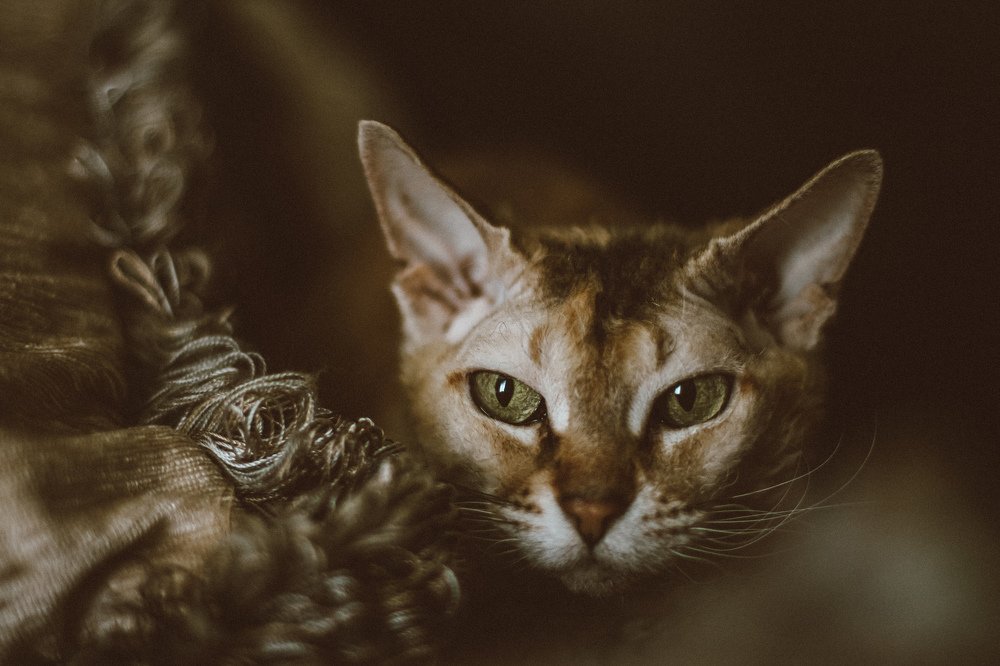 Photograph by Сергей