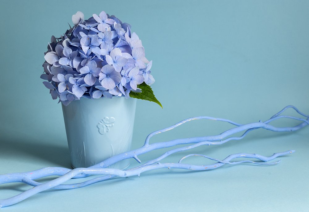 Photograph by Ольга Дядченко